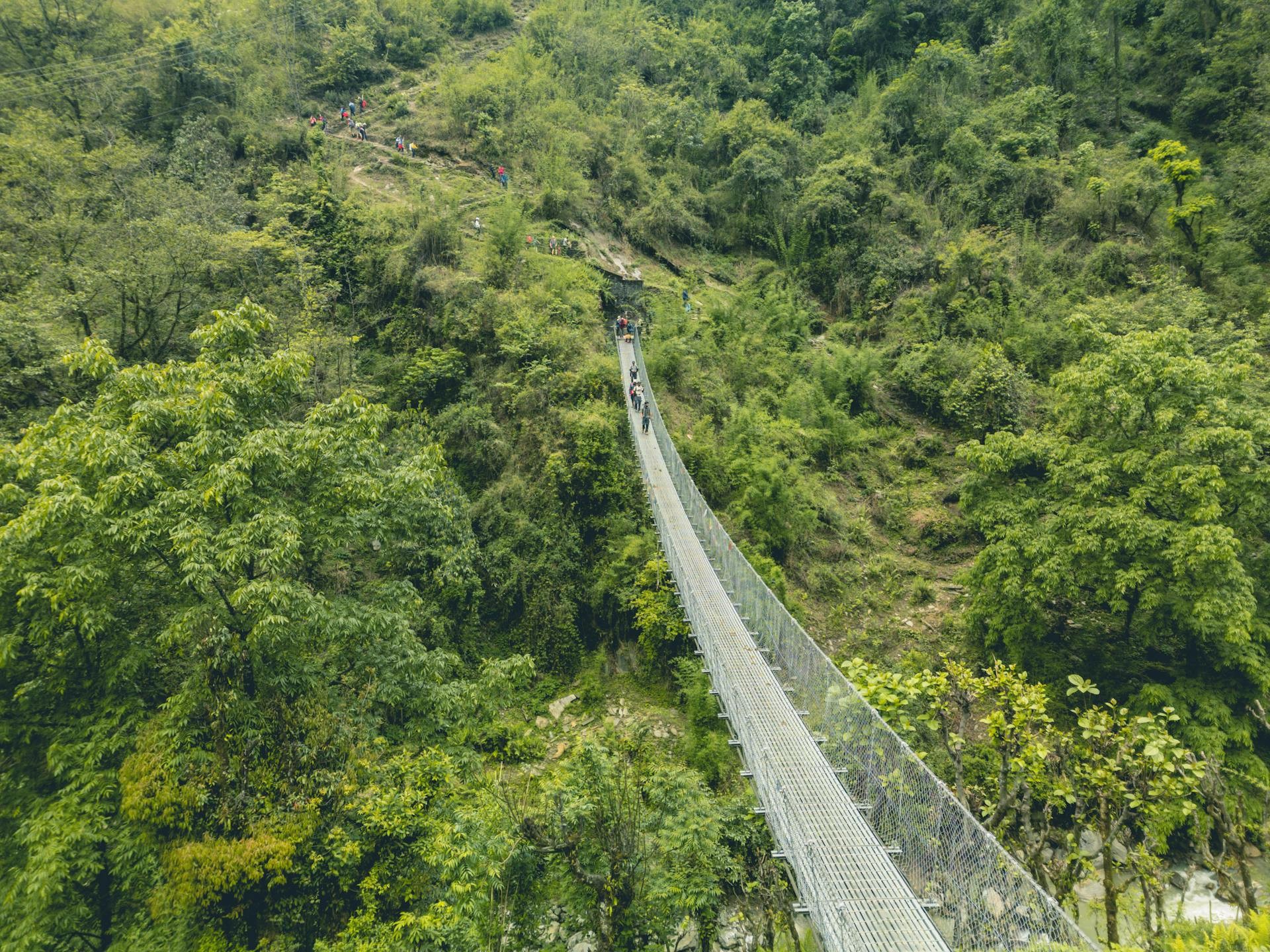 Dhampus Sarangkot Trek with Chitwan Jungle Safari